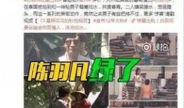 王琳前总监爆料视频最新,独家爆料视频背后的惊人真相